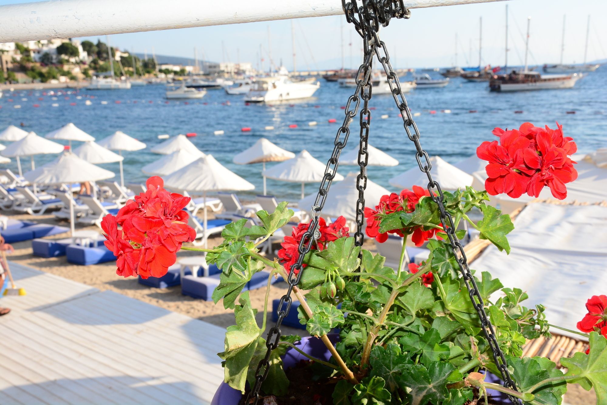 Angora Hotel Bodrum Exterior photo